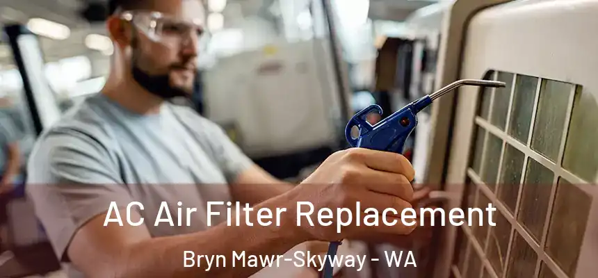 AC Air Filter Replacement Bryn Mawr-Skyway - WA