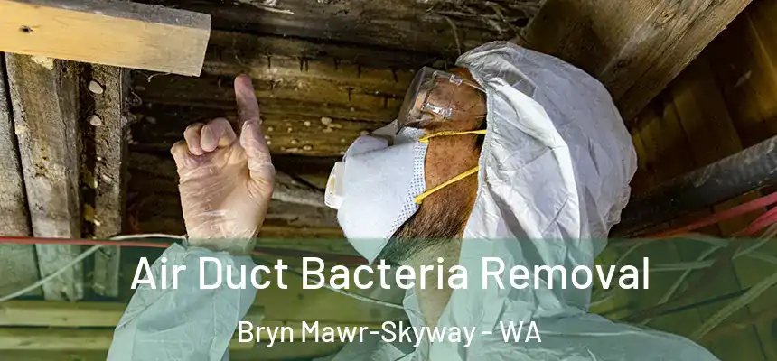  Air Duct Bacteria Removal Bryn Mawr-Skyway - WA