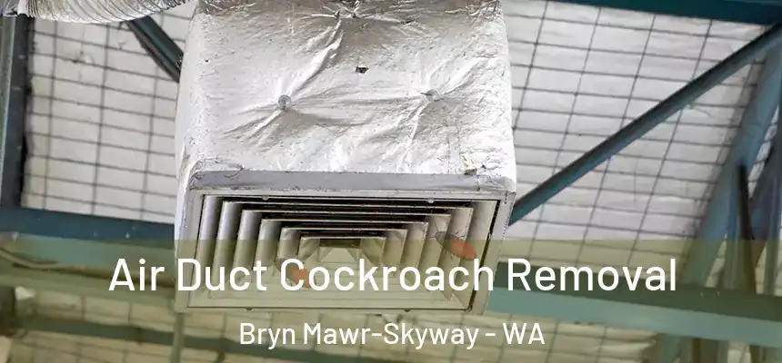  Air Duct Cockroach Removal Bryn Mawr-Skyway - WA