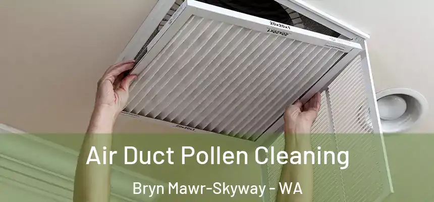  Air Duct Pollen Cleaning Bryn Mawr-Skyway - WA