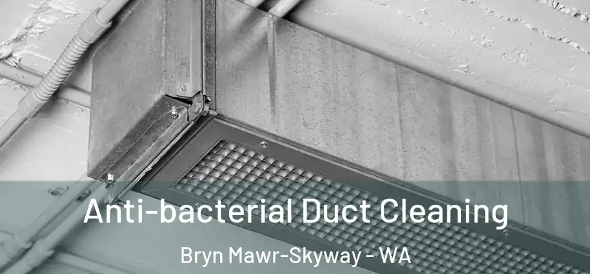  Anti-bacterial Duct Cleaning Bryn Mawr-Skyway - WA