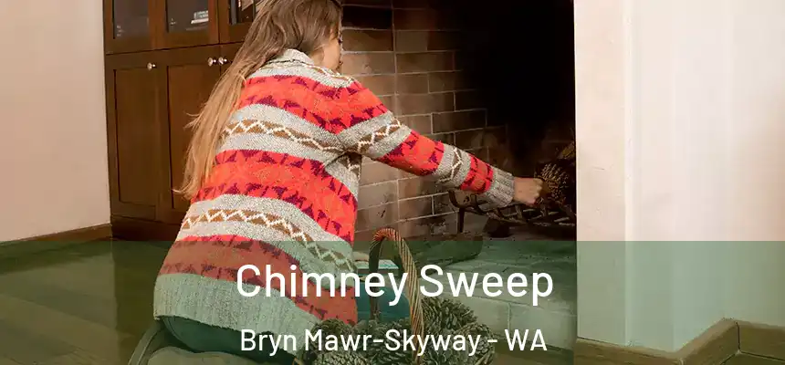 Chimney Sweep Bryn Mawr-Skyway - WA
