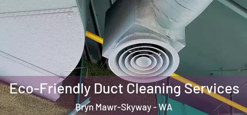  Eco-Friendly Duct Cleaning Services Bryn Mawr-Skyway - WA