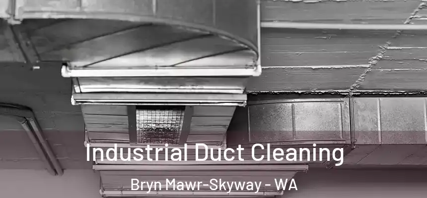  Industrial Duct Cleaning Bryn Mawr-Skyway - WA