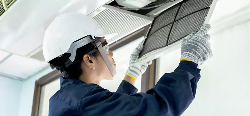 Our Mold & Mildew Removal from Air Ducts Services in Bryn Mawr-Skyway, WA