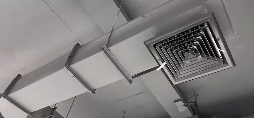 Our Pest Removal From Ducts Services in Bryn Mawr-Skyway, WA