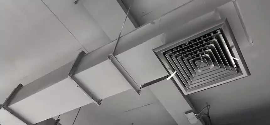 Our Rodent Droppings In Vents Services in Bryn Mawr-Skyway, WA