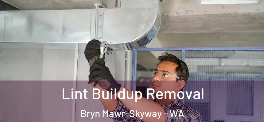 Lint Buildup Removal Bryn Mawr-Skyway - WA