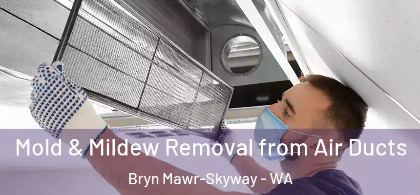  Mold & Mildew Removal from Air Ducts Bryn Mawr-Skyway - WA