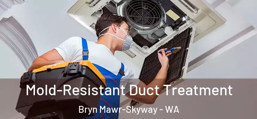  Mold-Resistant Duct Treatment Bryn Mawr-Skyway - WA