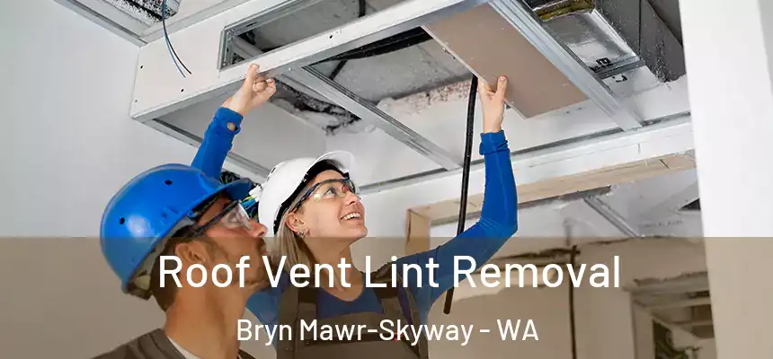  Roof Vent Lint Removal Bryn Mawr-Skyway - WA