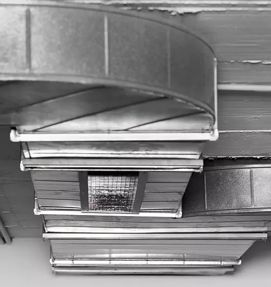 Professional Air Duct Pest Removal in Bryn Mawr-Skyway, WA