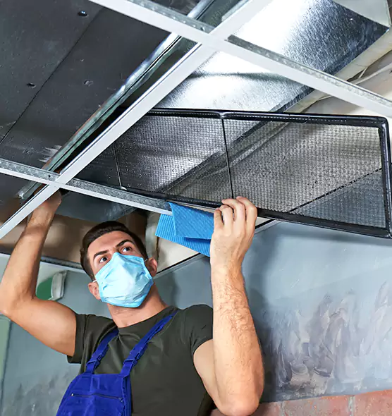 Professional Air Duct Pollen Cleaning in Bryn Mawr-Skyway, WA
