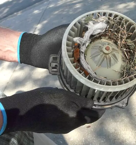 About Air Duct Rat Removal in Bryn Mawr-Skyway, WA