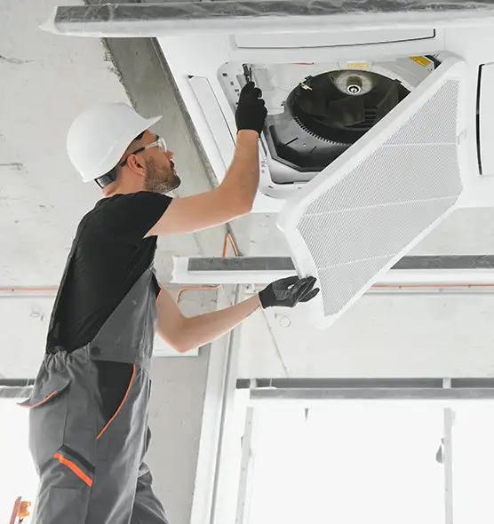 About Air Duct Rodent Removal in Bryn Mawr-Skyway, WA