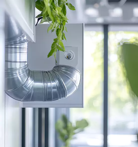 Professional Eco-Friendly Duct Cleaning Services in Bryn Mawr-Skyway, WA