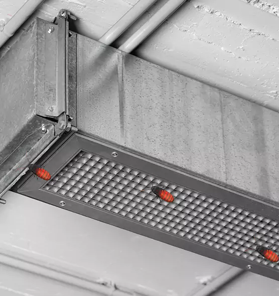 Affordable Insect Removal from Air Ducts in Bryn Mawr-Skyway, WA