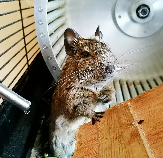 Why Homeowners & Businesses Trust Us Bryn Mawr-Skyway, WA?