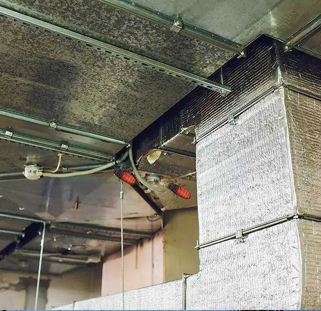 Why Homeowners & Businesses Trust Us Bryn Mawr-Skyway, WA?