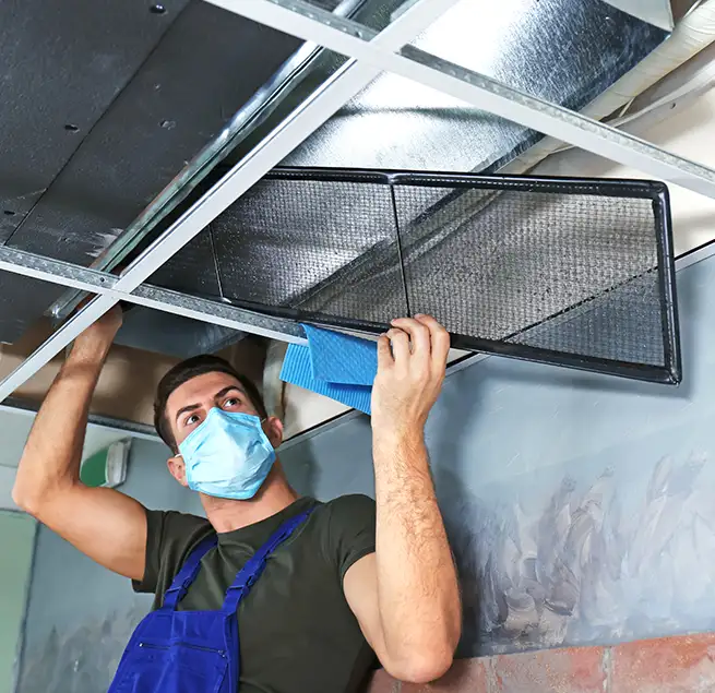 Why Homeowners & Businesses Trust Us in Bryn Mawr-Skyway, WA?