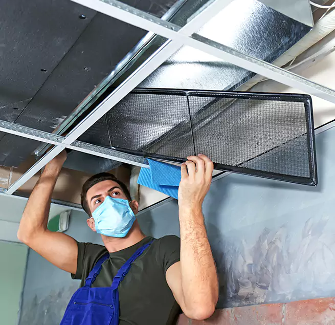 Why Homeowners & Businesses Trust Us in Bryn Mawr-Skyway, WA?