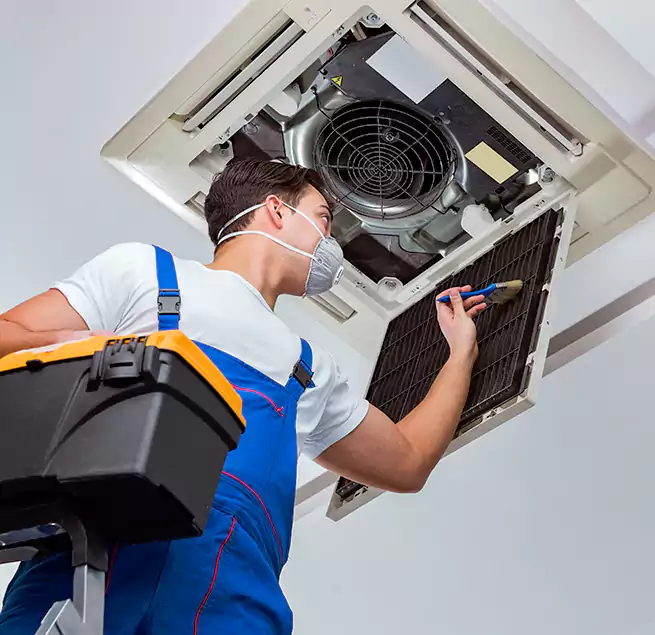 Why Homeowners & Businesses Trust Us in Bryn Mawr-Skyway, WA?